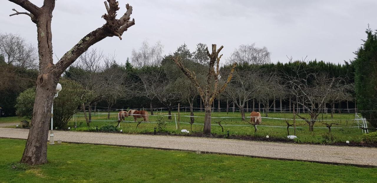 Le Cabassou Du Medoc Bégadan Kültér fotó